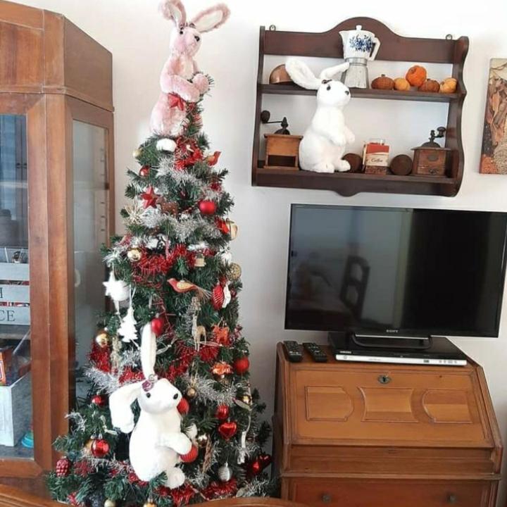 Appartamento La Tana Dei Conigli Serra Rocco Esterno foto